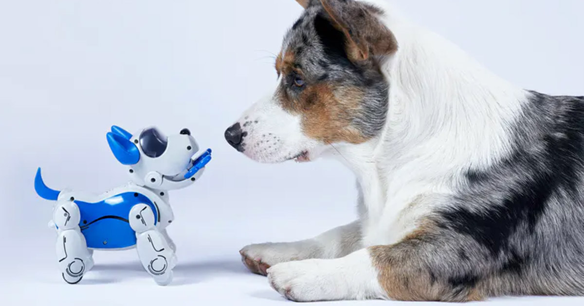 Robot service animals | Queen's University Gazette