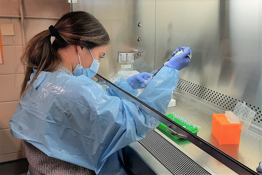 [Photo of Lauren Michelberger processing a blood sample from the lung cancer mDETECT project, PIPEN]