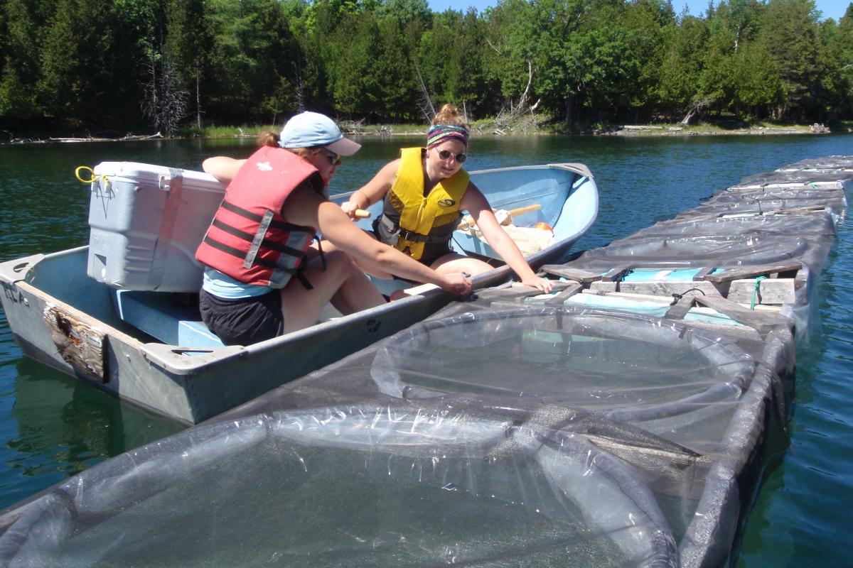 Two Queen's students on a boat conducting an experiment.