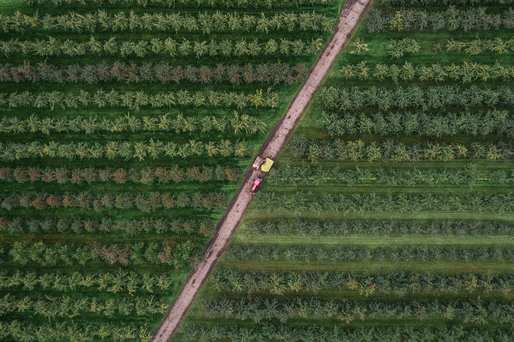 [Aerial photo of a farm field]