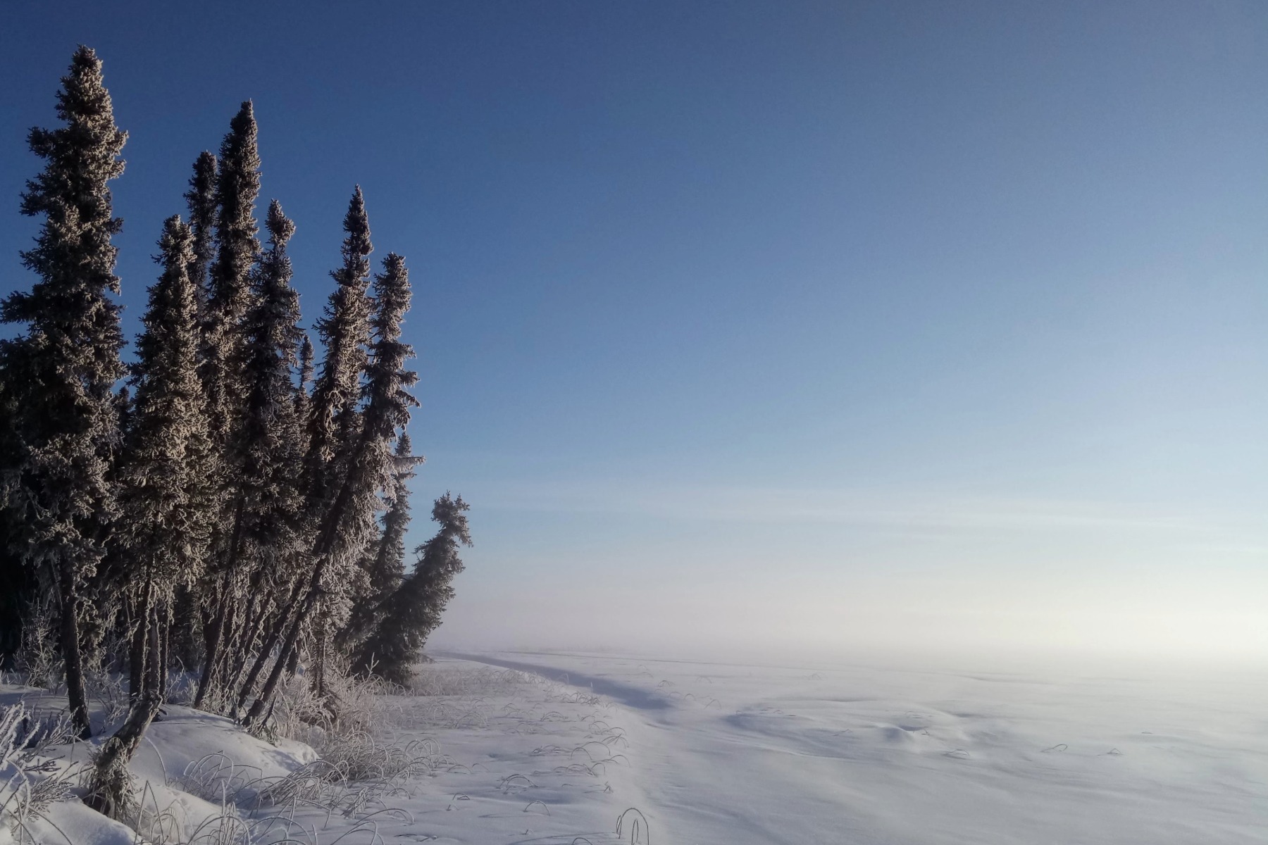 The science of freezing | Queen's Gazette