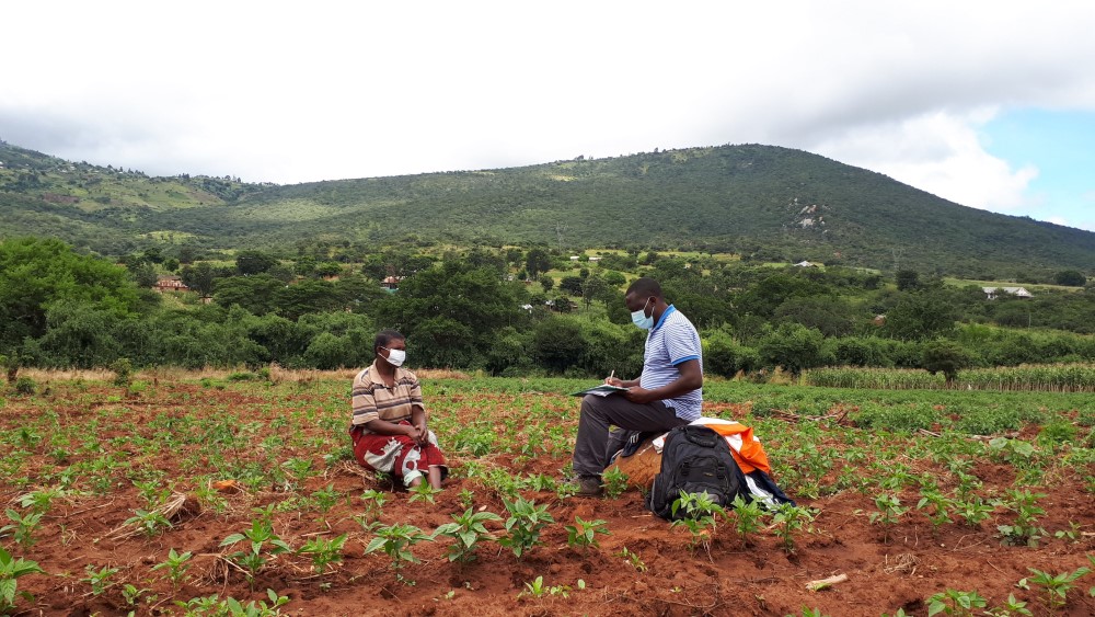 Queen's PhD student interviews tomato farmer in Tanzania