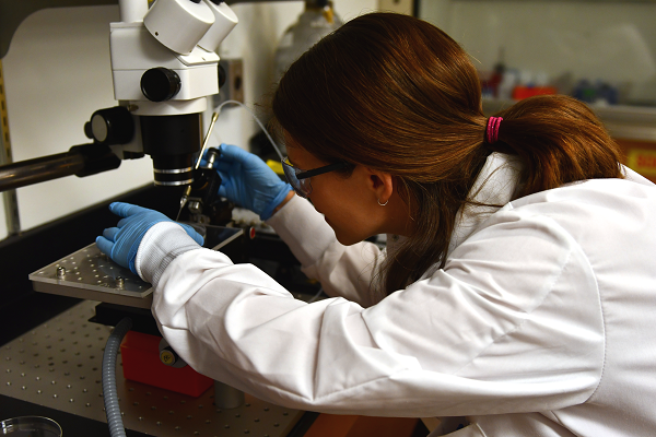 [Queen's University Lindsay Fitzpatrick Engineering]