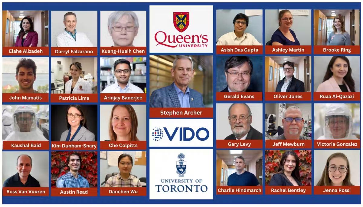 The COVID team: The face of research. The diverse team includes members who came to Canada from India, Iran, England, Brazil, Iraq, China and Taiwan to pursue research here. (Stephen Archer), Author provided