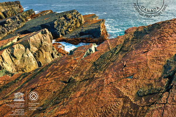 [Mistaken Point postcard]