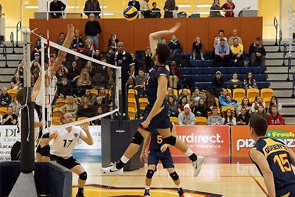 [Volleyball Will Hooey]