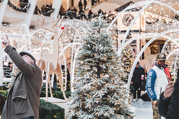 [Christmas tree in the centre of a mall]