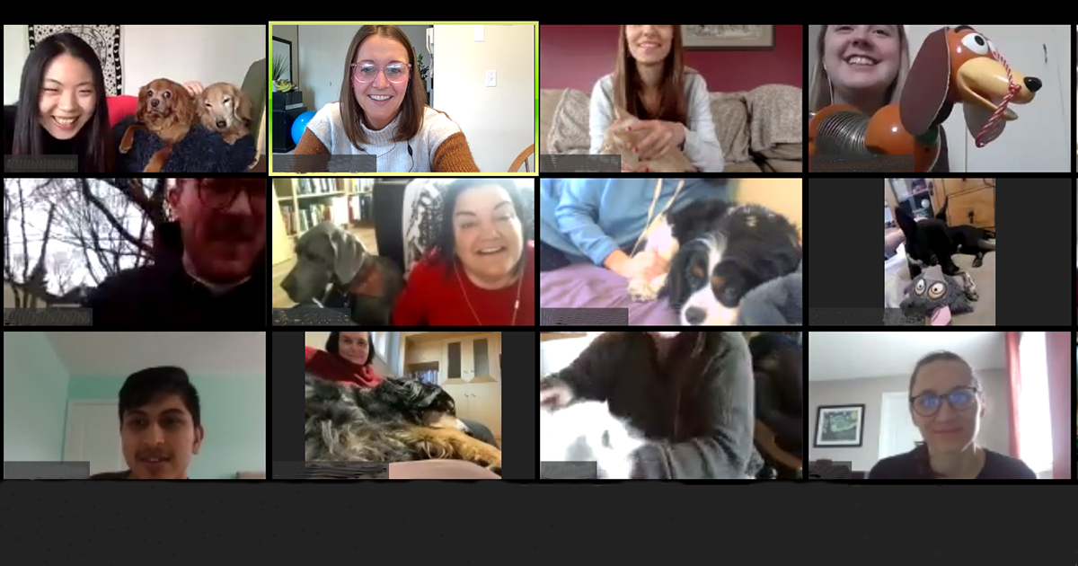 pet stress relief sessions