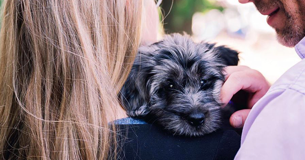 A couple carry a puppy