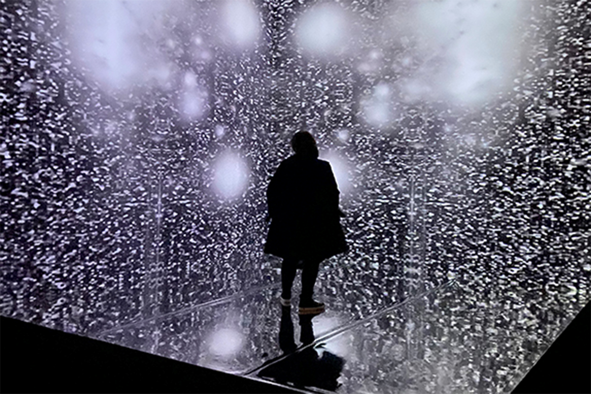 KPMB will oversee the design phase of the long-term, institutionally-engaged project to update the campus art gallery and bring a revolutionary vision of the role of the art museum to life.