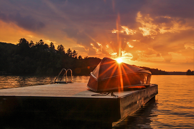 The photo was taken by Sarah Reese, 1st place winner last year in the Thrive Photo Contest. 