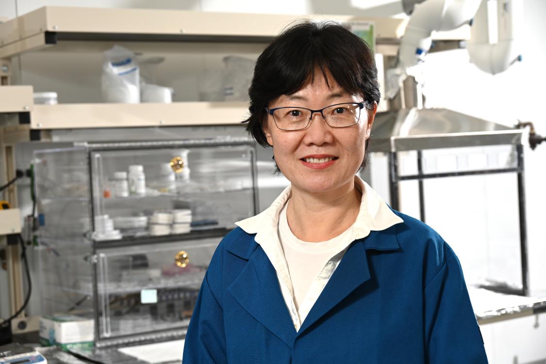 Dr. Yanwen Zhang