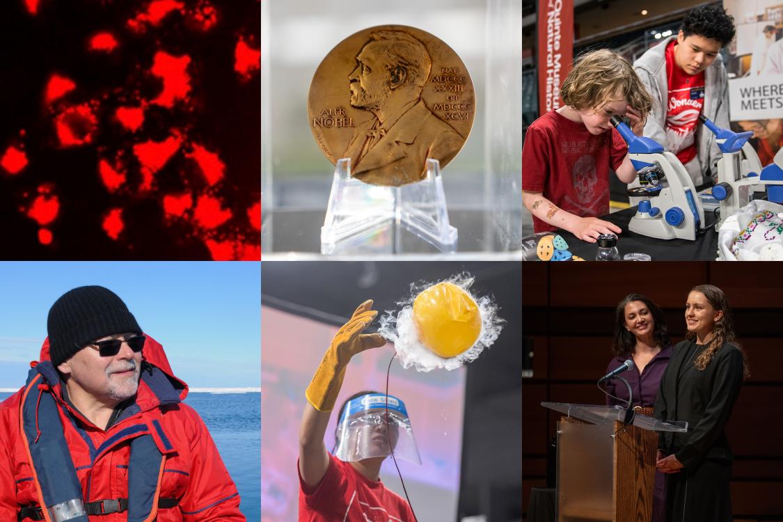 Collage of images featured in article