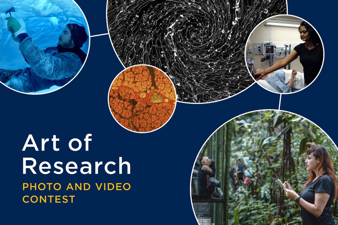 Art of Research photo and video contest