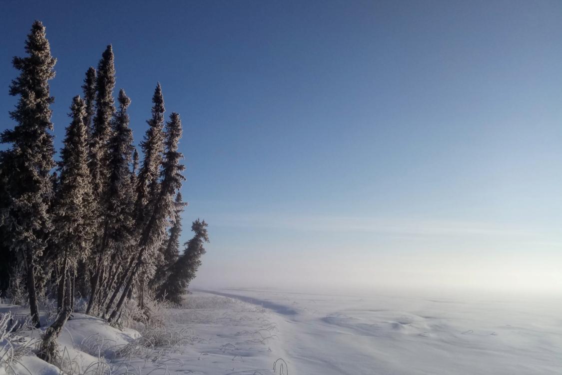 Permafrost in the Arctic