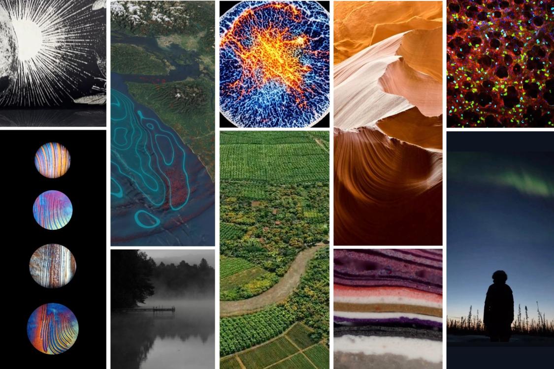 Collage of Art of Research winners