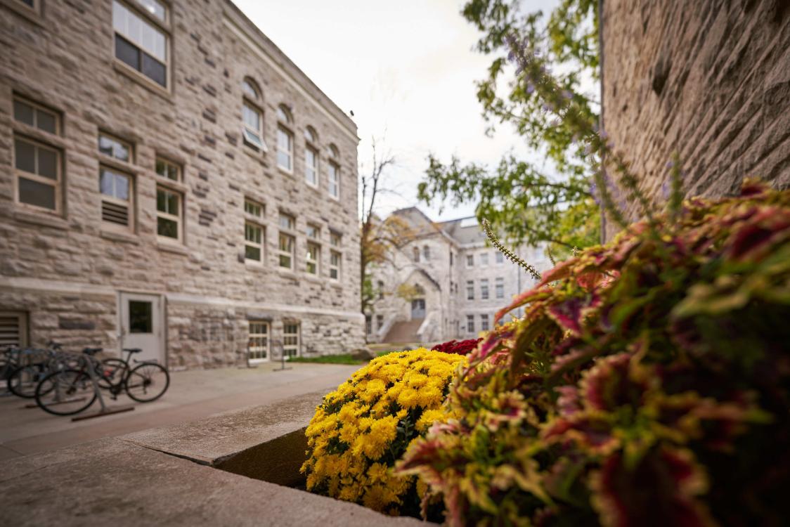 Yellow fall flowers in a planter beside a limestone building. 