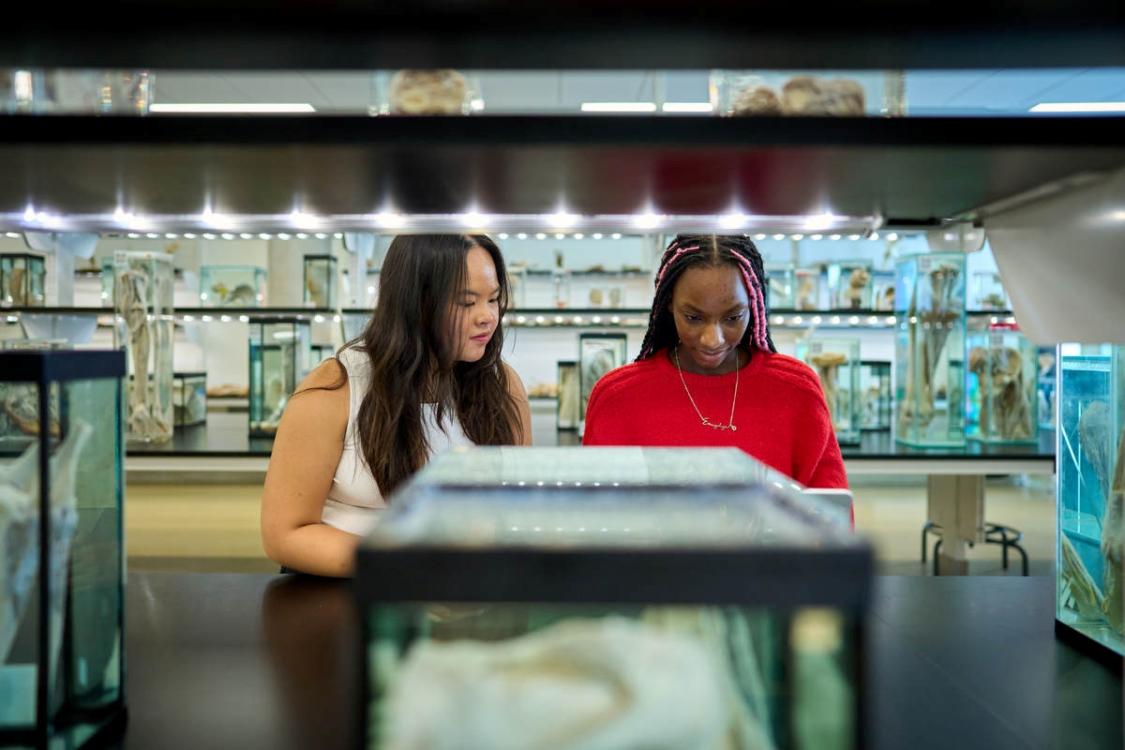 Two student researchers in a lab