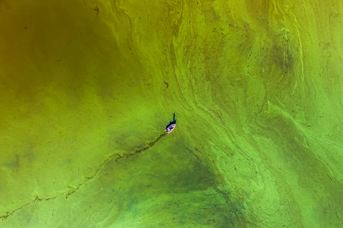 an overhead image of a boat driving through green water