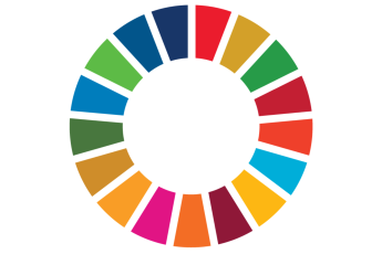 SDG colour wheel