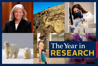 Collage of images representing the year in research