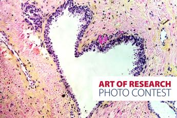 [Queen's Art of Research Photo Contest]