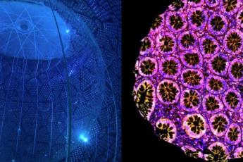 [Photo of two Queen's Art of Research photos depicting the SNO+ detector and an immunofluorescence cancer cell stain] 