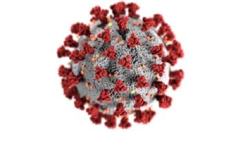 The COVID-19 virus