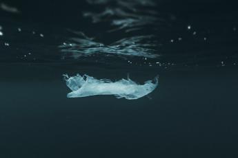 Plastic bag floating in the water.