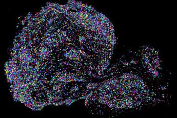 [Queen's Art of Research Photo: "Colourful Cells" by Nathalia Yun Kim