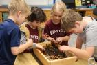 Students work on a vermicompost project