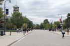 Students walk along University Avenue