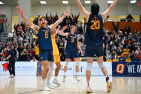 Three men's volleyball players cheering on the court