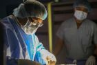 Two surgeons operating in blue gown 