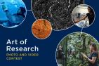 Art of Research photo and video contest