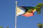 The Intersex-Inclusive Pride flag on a flag pole, waving in the wind near trees.