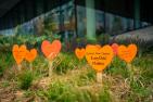 The heart garden