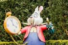 [Alice in Wonderland Rabbit]