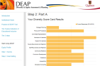 A sample diversity scorecard in the DEAP Tool. (Supplied Photo)