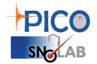 [PICO]