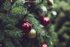 [Up close photo of a decorated Christmas tree with red and gold balls]