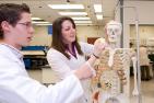 [students examine a skeleton]
