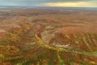 Arctic peatland in the Mackenzie Valley. A quarter of all global peatland carbon is found in Canada. (Ed Struzik), Author provided