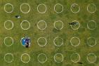 People sit in circles in a park for social distancing.