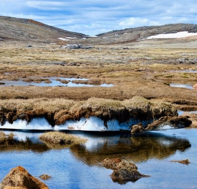 [Ice under vegetated soils in the Niaqunguk river, Iqaluit.]