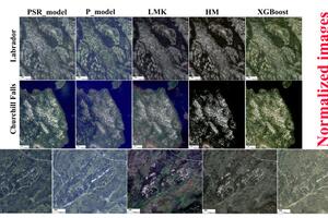 [Normalized images by different methods]