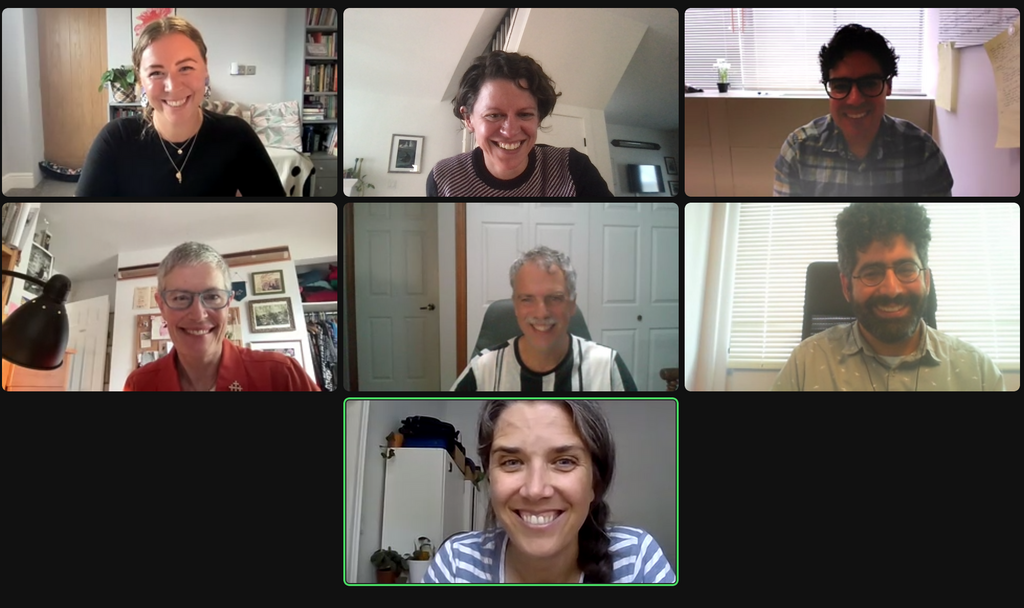 Claudia Hirtenfelder Theis Examination via Teams