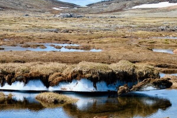 Arctic Watershed Biogeochemistry Lab