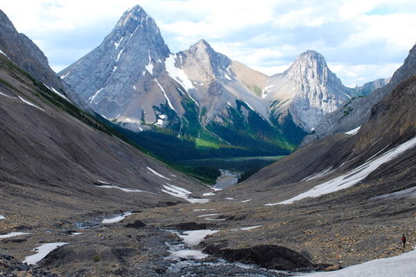 Surface Processes, Landforms, and Soils