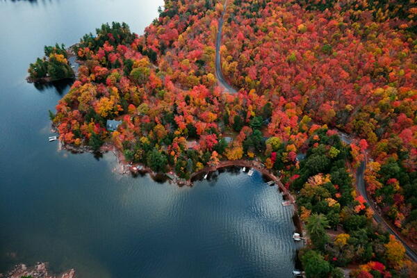 Fall colours in Northern Ontario